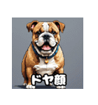 毎日使える！表情ゆたかなモコモコ動物（個別スタンプ：8）