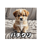 毎日使える！表情ゆたかなモコモコ動物（個別スタンプ：16）