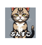 毎日使える！表情ゆたかなモコモコ動物（個別スタンプ：34）