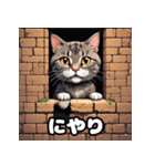 いろんな表情が楽しめる！キュートなねこ（個別スタンプ：1）