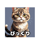 いろんな表情が楽しめる！キュートなねこ（個別スタンプ：2）