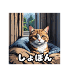 いろんな表情が楽しめる！キュートなねこ（個別スタンプ：3）