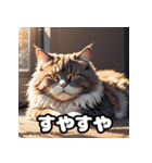 いろんな表情が楽しめる！キュートなねこ（個別スタンプ：8）