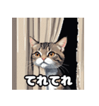 いろんな表情が楽しめる！キュートなねこ（個別スタンプ：13）