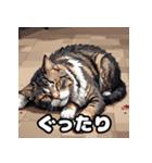 いろんな表情が楽しめる！キュートなねこ（個別スタンプ：14）