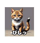 いろんな表情が楽しめる！キュートなねこ（個別スタンプ：17）