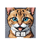 いろんな表情が楽しめる！キュートなねこ（個別スタンプ：22）