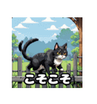 いろんな表情が楽しめる！キュートなねこ（個別スタンプ：23）