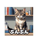 いろんな表情が楽しめる！キュートなねこ（個別スタンプ：24）