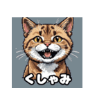 いろんな表情が楽しめる！キュートなねこ（個別スタンプ：27）