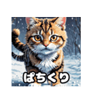 いろんな表情が楽しめる！キュートなねこ（個別スタンプ：29）