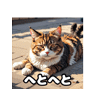 いろんな表情が楽しめる！キュートなねこ（個別スタンプ：38）