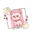 ニャンQ（個別スタンプ：13）