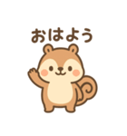 もふもふリスくん（個別スタンプ：1）