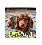 ミニチュアダックス表情スタンプ（個別スタンプ：3）