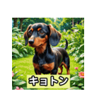 ミニチュアダックス表情スタンプ（個別スタンプ：6）