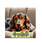 ミニチュアダックス表情スタンプ（個別スタンプ：19）