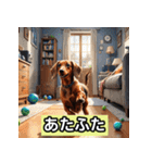 ミニチュアダックス表情スタンプ（個別スタンプ：31）