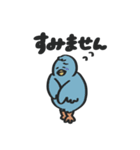 あにまるず ときどきごりら（個別スタンプ：12）