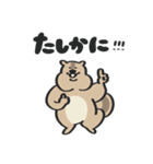あにまるず ときどきごりら（個別スタンプ：28）