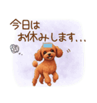 ゆるかわトイプーの日常（個別スタンプ：22）