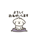 犬のもこまるの敬語スタンプ【お仕事編】（個別スタンプ：10）