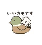 犬のもこまるの敬語スタンプ【お仕事編】（個別スタンプ：24）