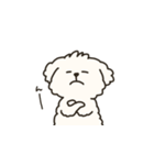 犬のもこまるの敬語スタンプ【お仕事編】（個別スタンプ：25）