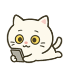 白猫ミーソウ（個別スタンプ：19）