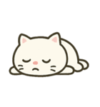 白猫ミーソウ（個別スタンプ：25）