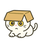 白猫ミーソウ（個別スタンプ：28）