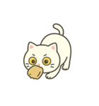 白猫ミーソウ（個別スタンプ：29）