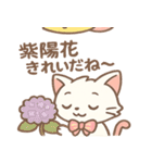 雨の日のにゃんこスタンプ（個別スタンプ：8）