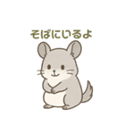 優しさ届けるちんちらちゃん（個別スタンプ：6）