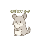 優しさ届けるチンチラちゃん（個別スタンプ：5）