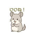 優しさ届けるチンチラちゃん（個別スタンプ：6）