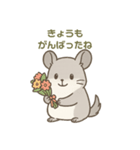 優しさ届けるチンチラちゃん（個別スタンプ：7）