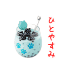 タピオカミルクティーの猫、ぷにぷに一言（個別スタンプ：2）