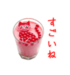 タピオカミルクティーの猫、ぷにぷに一言（個別スタンプ：17）