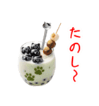 タピオカミルクティーの猫、ぷにぷに一言（個別スタンプ：20）