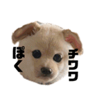 麗一（個別スタンプ：7）