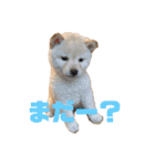 麗一（個別スタンプ：8）
