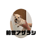 麗一（個別スタンプ：18）