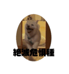 麗一（個別スタンプ：25）