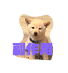 麗一（個別スタンプ：33）