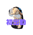 麗一（個別スタンプ：39）