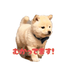 麗一（個別スタンプ：40）