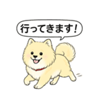 ポメラニアン(クリームバージョン)（個別スタンプ：7）