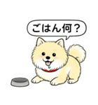 ポメラニアン(クリームバージョン)（個別スタンプ：21）