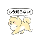 ポメラニアン(クリームバージョン)（個別スタンプ：23）